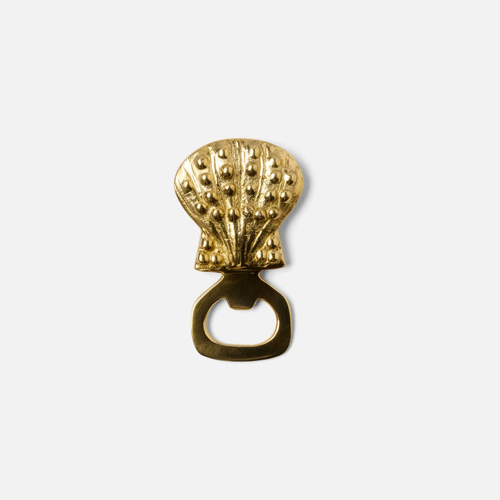 Zoila Polished Gold Clam Shell Bottle Opener Brass Pack/3