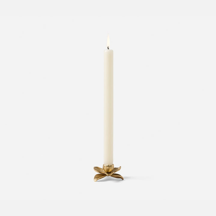 Mirabelle Matte Gold Orchid Candle Holder Brass Pack/2