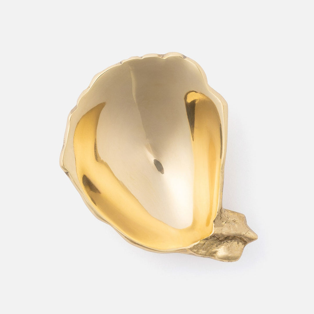 Contessa Polished Gold Oyster Shell Pinch Bowl Brass Pack/4