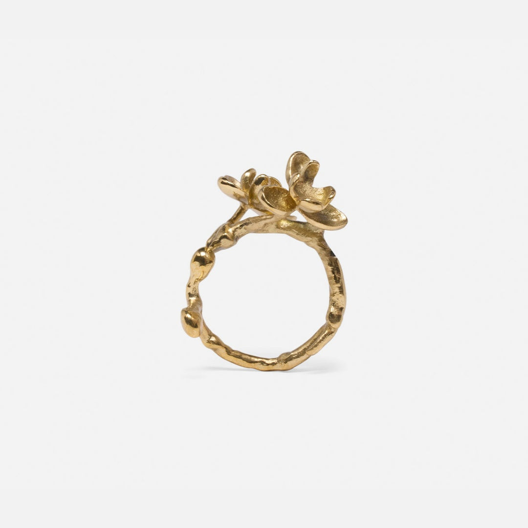Fiona Polished Gold Blossom Napkin Ring Brass Pack/4 Boxed