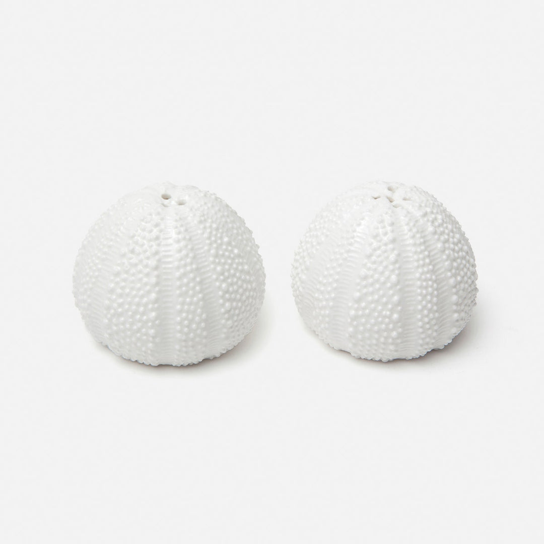 Marina White 1 Set Of Sea Urchin Salt & Pepper Shaker Porcelain Boxed
