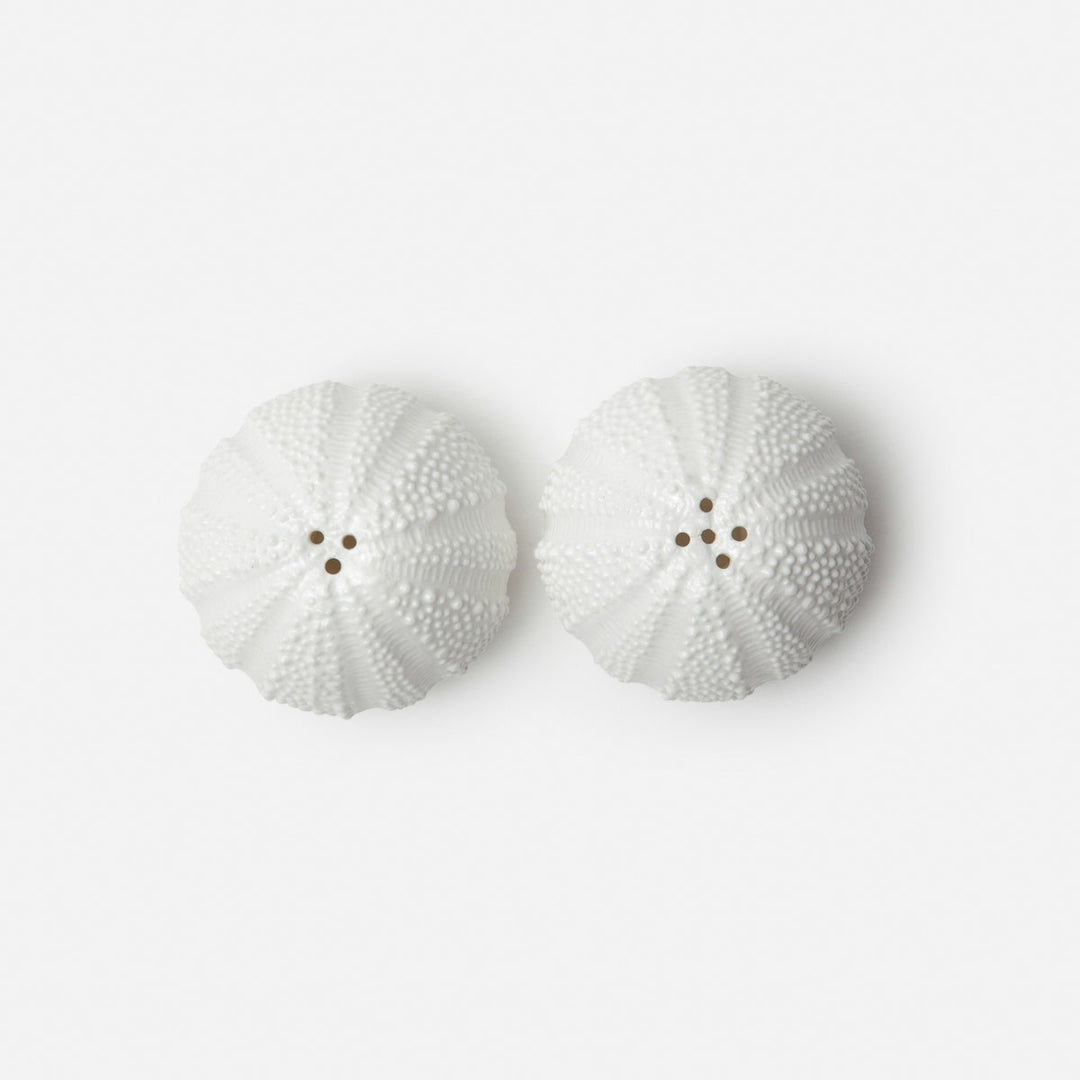 Marina White 1 Set Of Sea Urchin Salt & Pepper Shaker Porcelain Boxed
