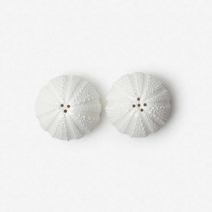 Marina White 1 Set Of Sea Urchin Salt & Pepper Shaker Porcelain Boxed