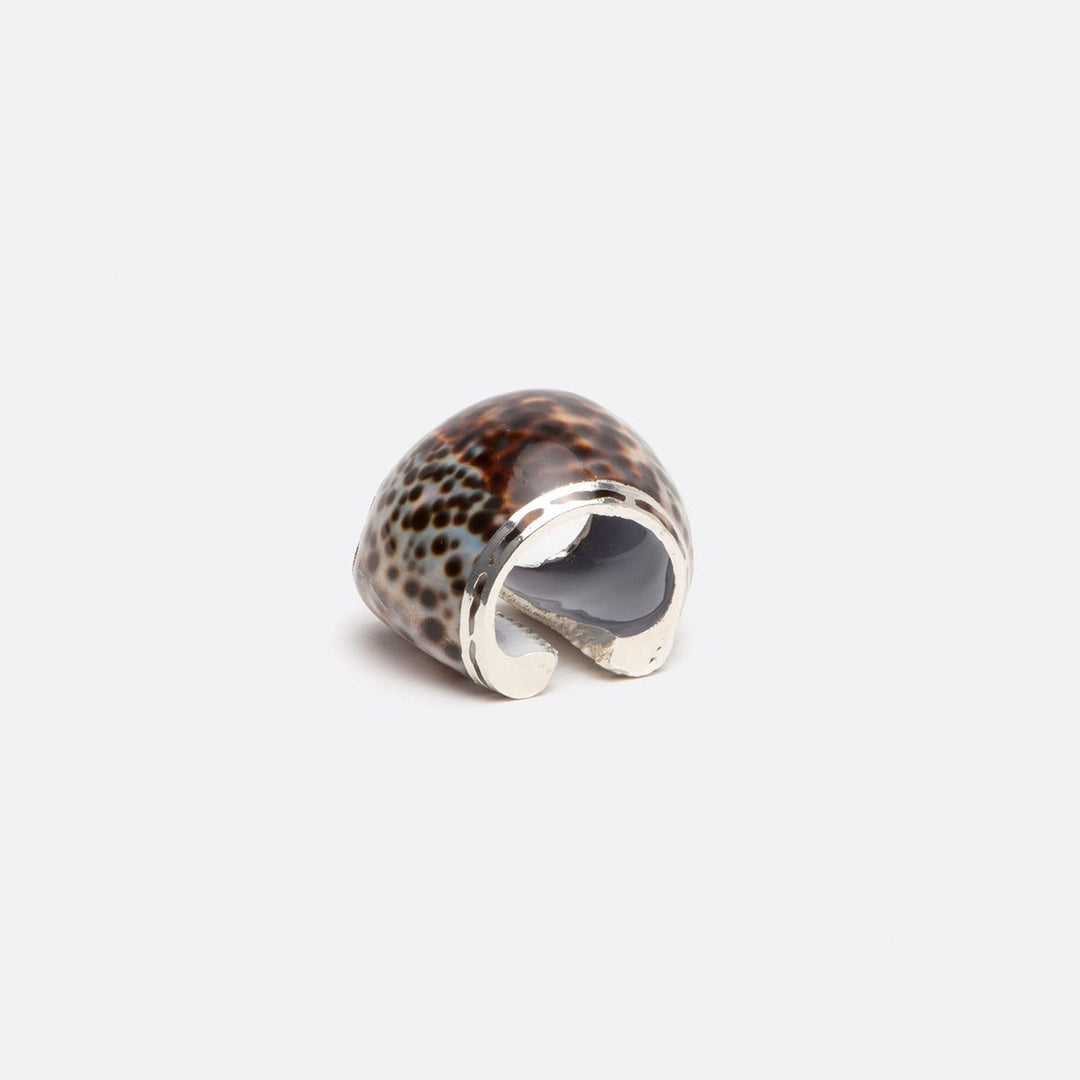 Olivia Tiger Cowrie Shell Napkin Ring Boxed Set Of 4