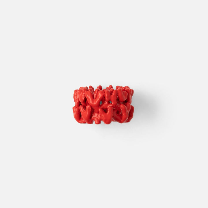 Sasha Red Coated Coral Napkin Ring Brass Boxed Set Of 4
