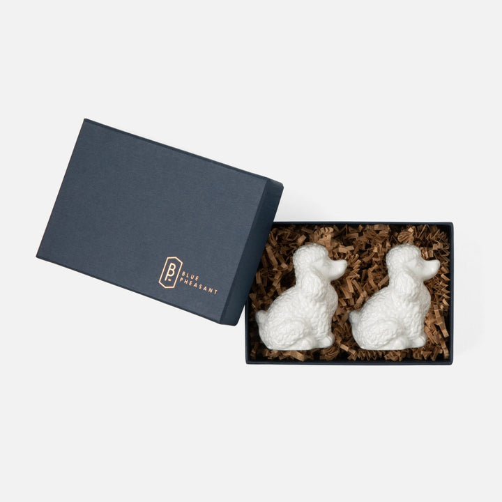 Sidney White 1 Set Of Poodle Salt & Pepper Shakers Porcelain Boxed