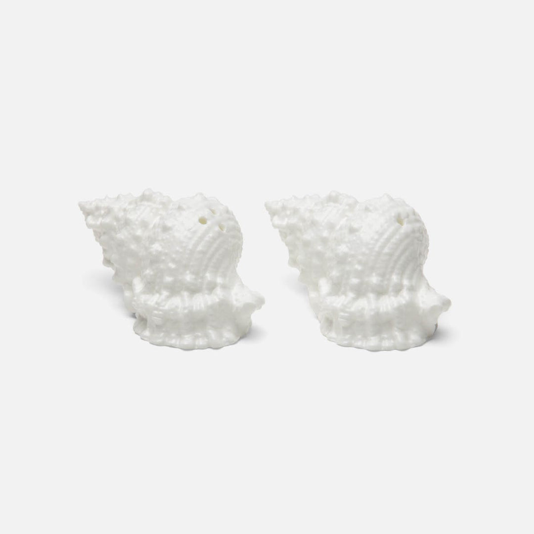 Coco White 1 Set Of Shell Salt & Pepper Shakers Porcelain Boxed
