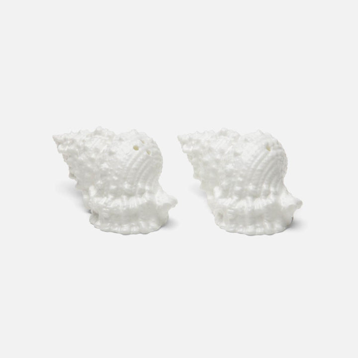 Coco White 1 Set Of Shell Salt & Pepper Shakers Porcelain Boxed