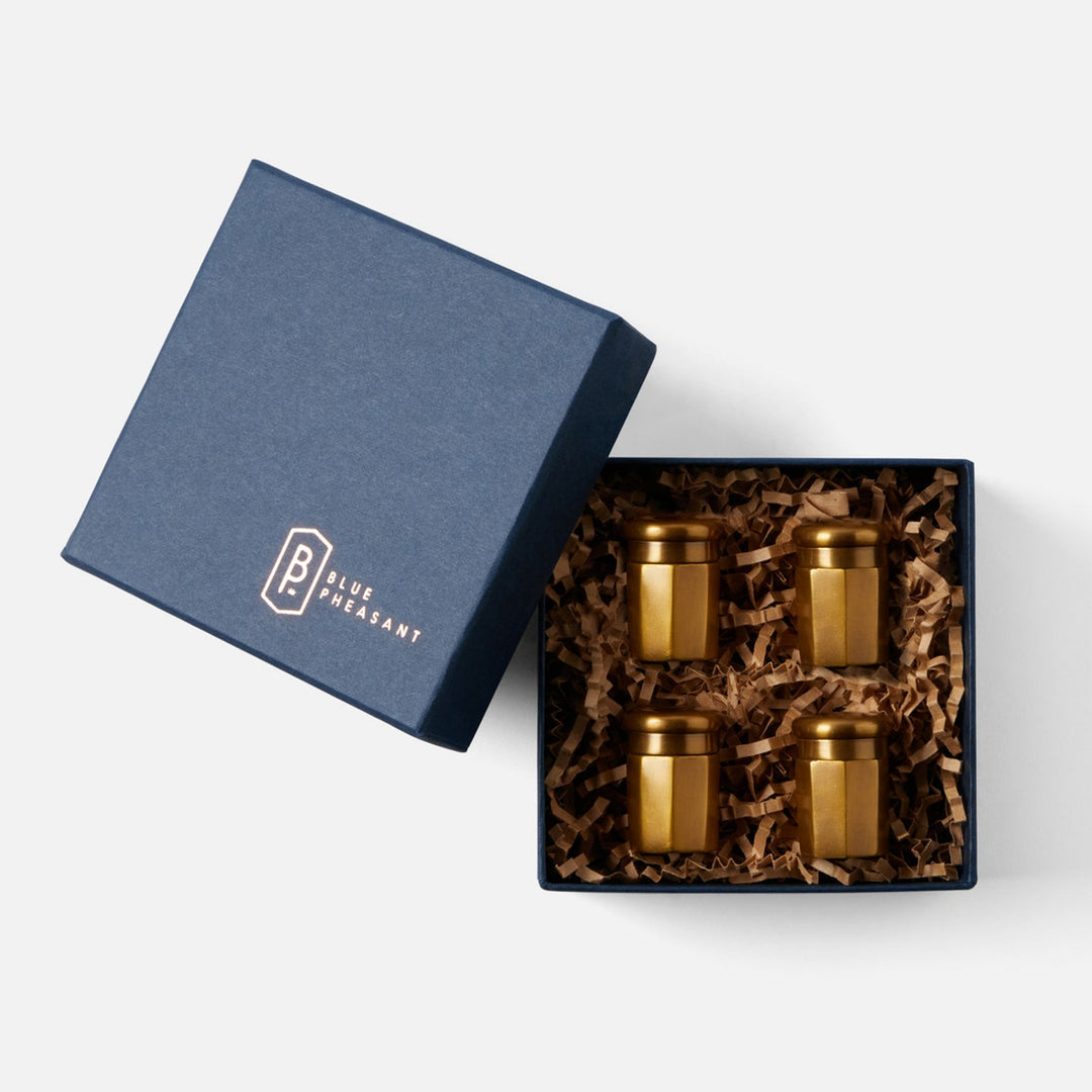 Duke Antique Brass Set Of 2 Salt And Pepper Shakers Metal Boxed