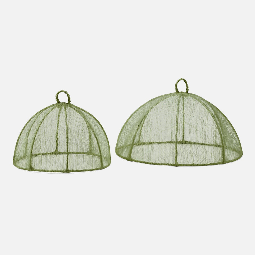 Rachel Pale Green Food Cover For Salad Plate Sinamay 9"D Pack/4