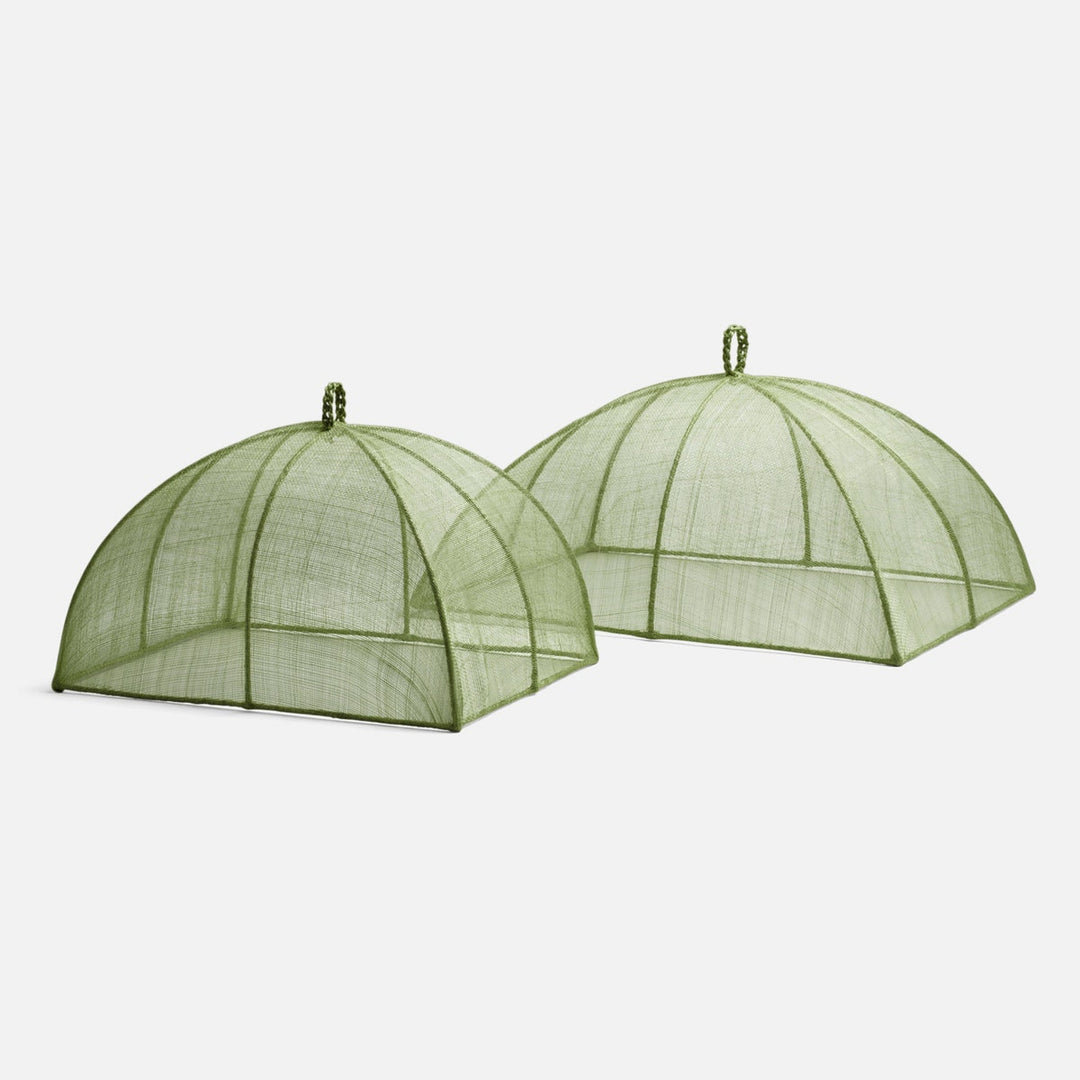 Rachel Pale Green Food Cover Rectangular Sinamay Set/2