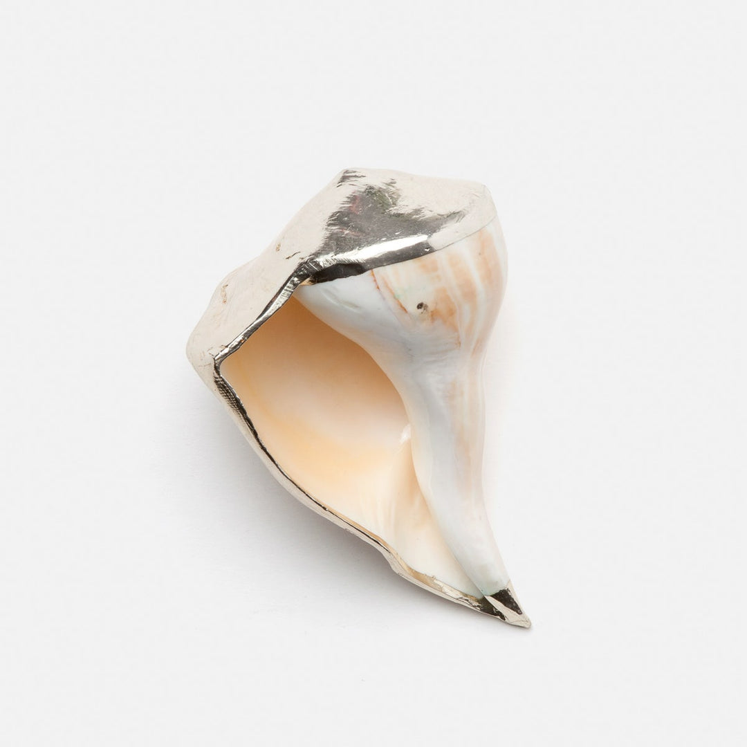 Jacob Natural/Silver Whelk Shell Pack/2