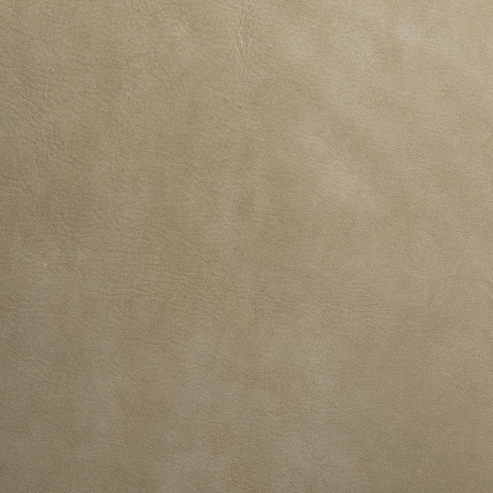 Caelon Chair - Gray