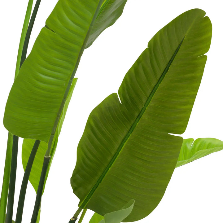 Artificial Plant Strelitzia M Green - image 5
