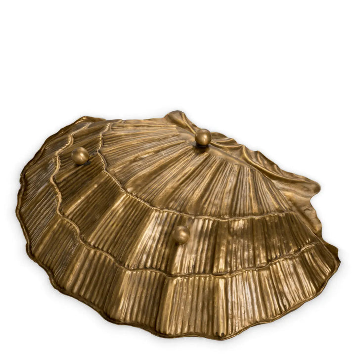Bowl Seashell Vintage Brass Finish - image 5