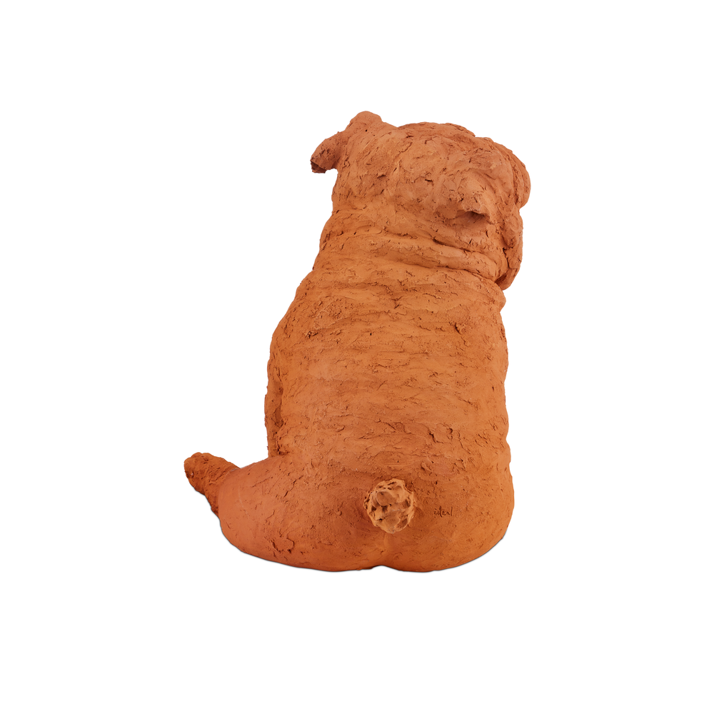 Leonard Churchill the Bulldog