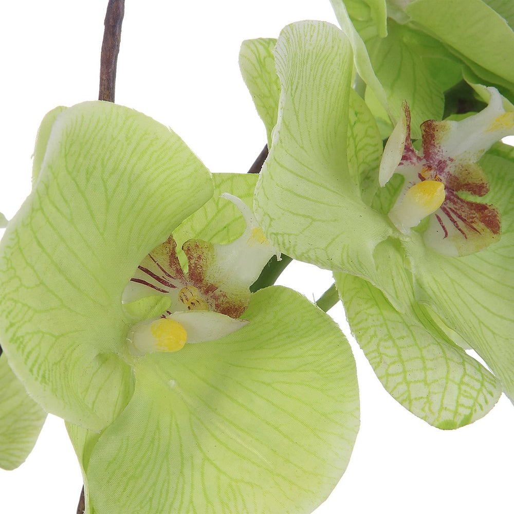 Valdive Orchid-Uttermost-UTTM-60199-Faux Plants-2-France and Son