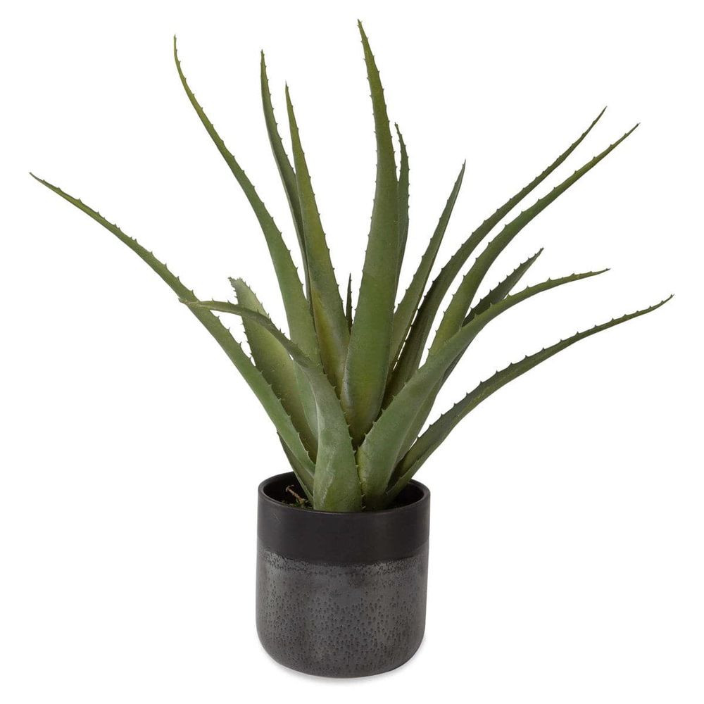 Tucson Aloe Planter-Uttermost-UTTM-60204-Planters-1-France and Son