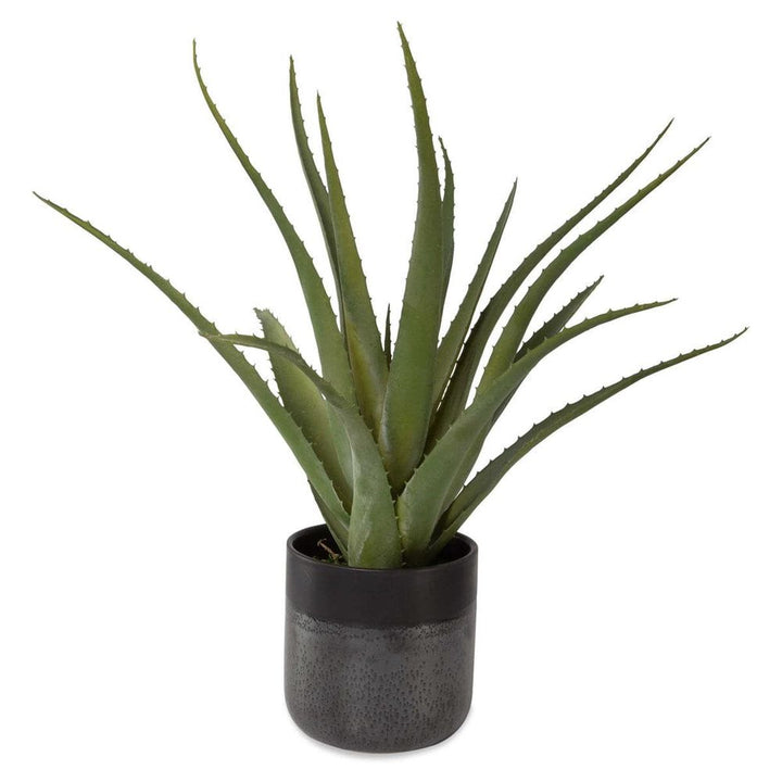 Tucson Aloe Planter-Uttermost-UTTM-60204-Planters-1-France and Son