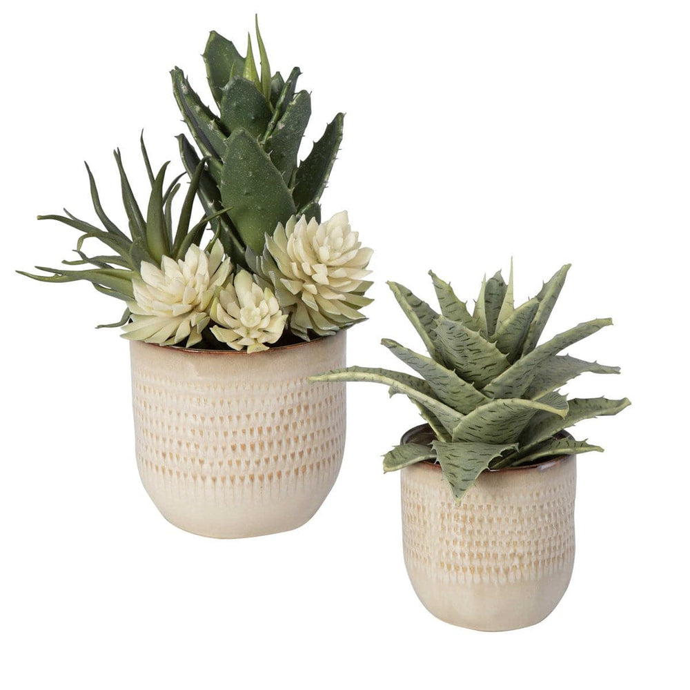 Uttermost Seaside Succulents, Set/2-Uttermost-UTTM-60208-Faux Plants-2-France and Son