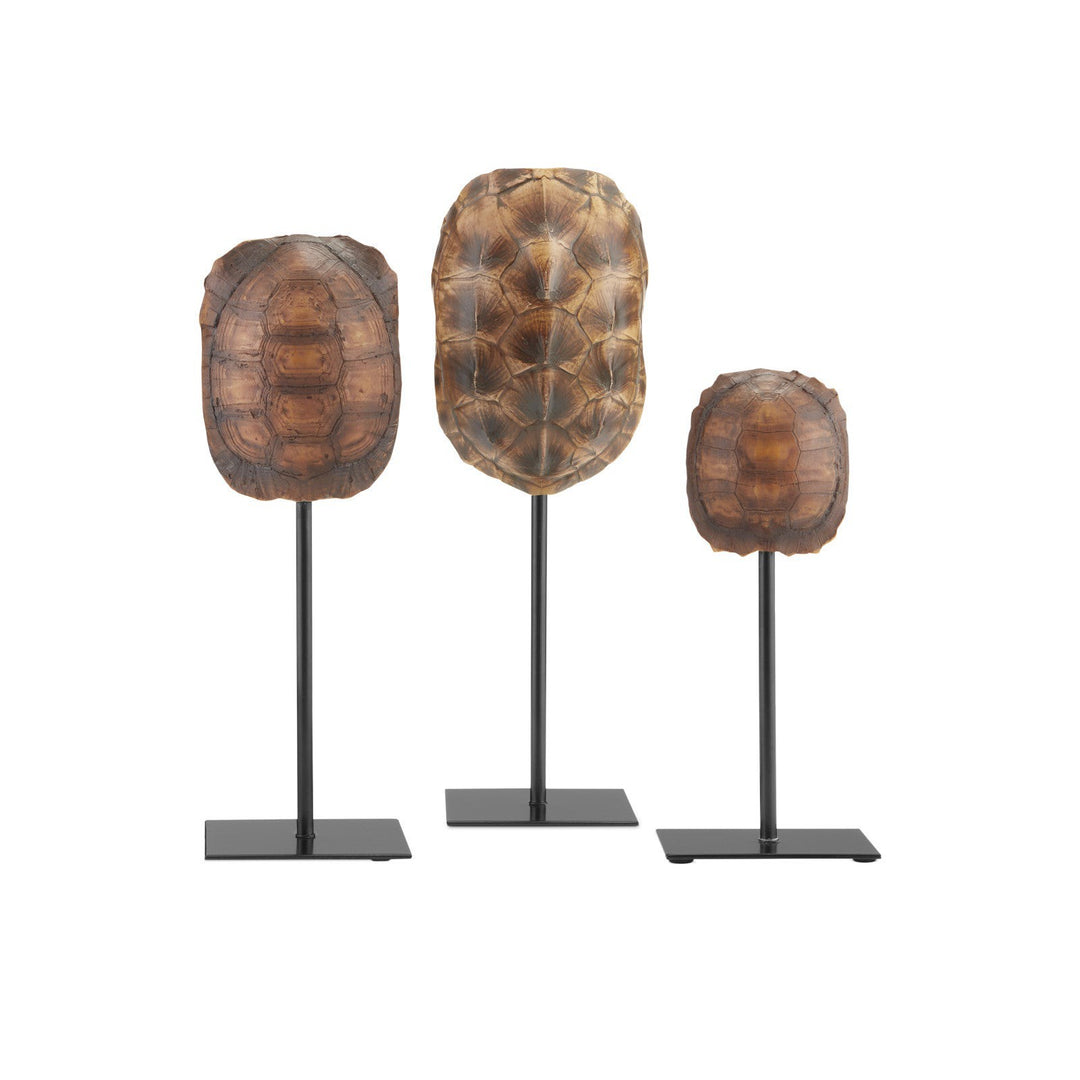 Turtle Shells Set of 3