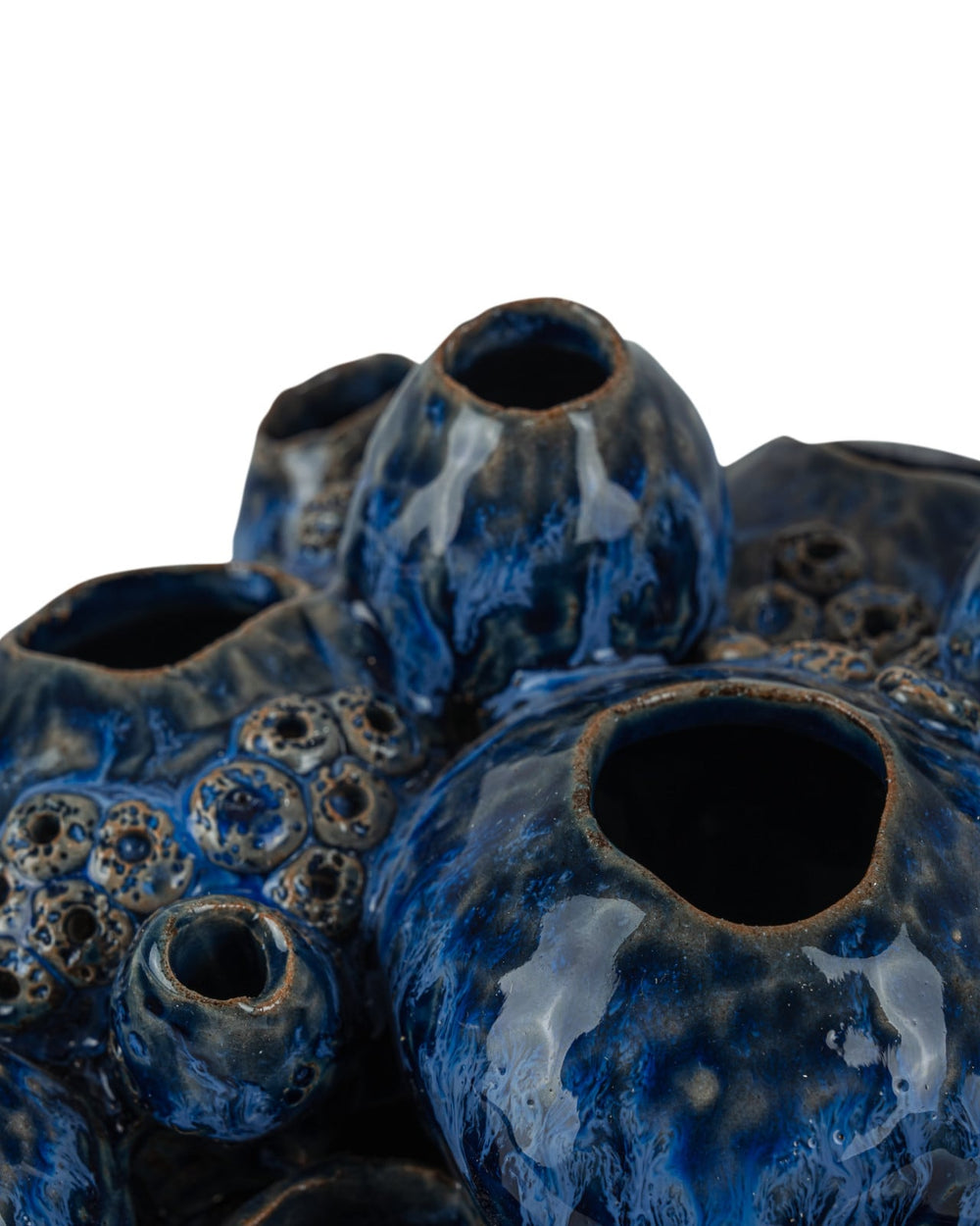 Decorative Objects Sulawasi Blue Shells