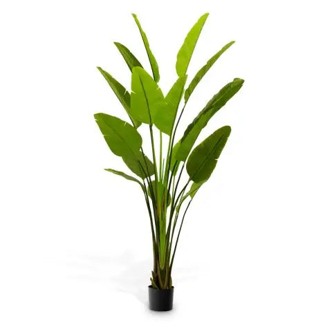 Artificial Plant Strelitzia L Green - image 6