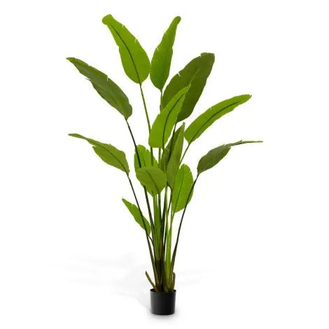 Artificial Plant Strelitzia M Green - image 6