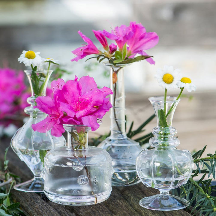 Miss Daisy Bud Vases, 4pc Set of 2