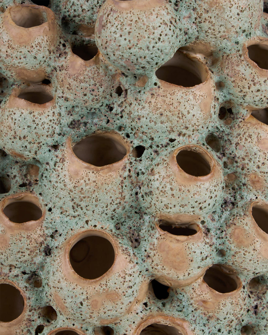 Vases Sunken Boat Barnacle Object