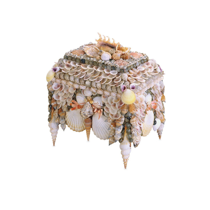 Boardwalk Natural Shell Jewelry Box