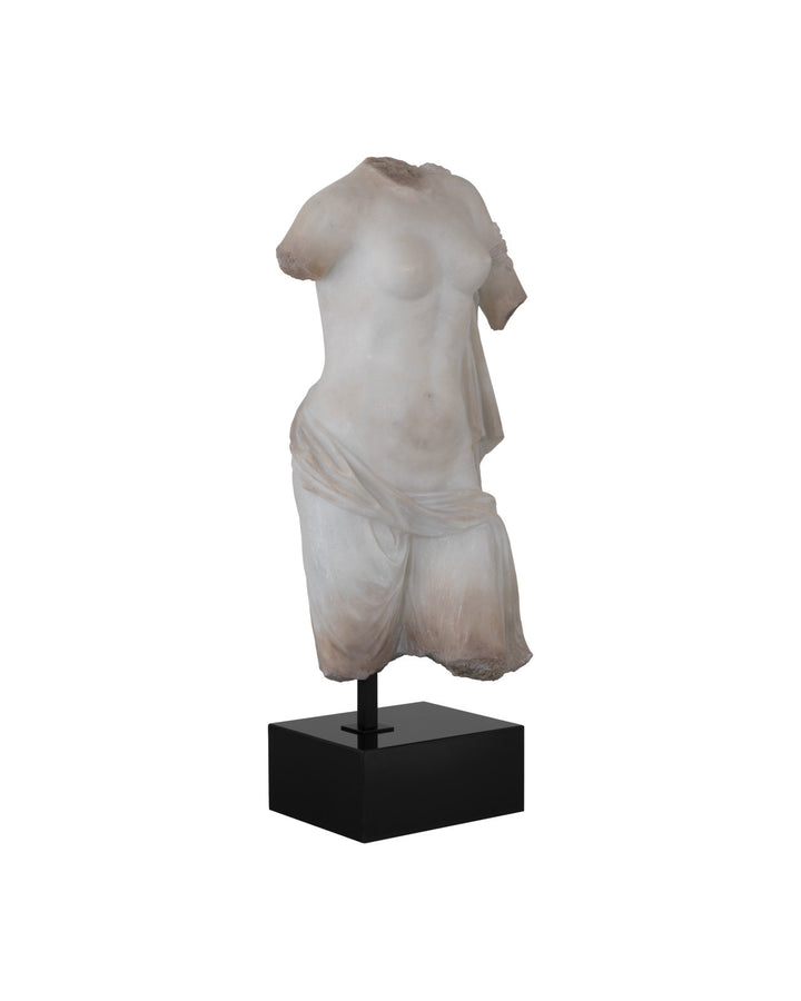 Cyprus Torso on Metal Stand
