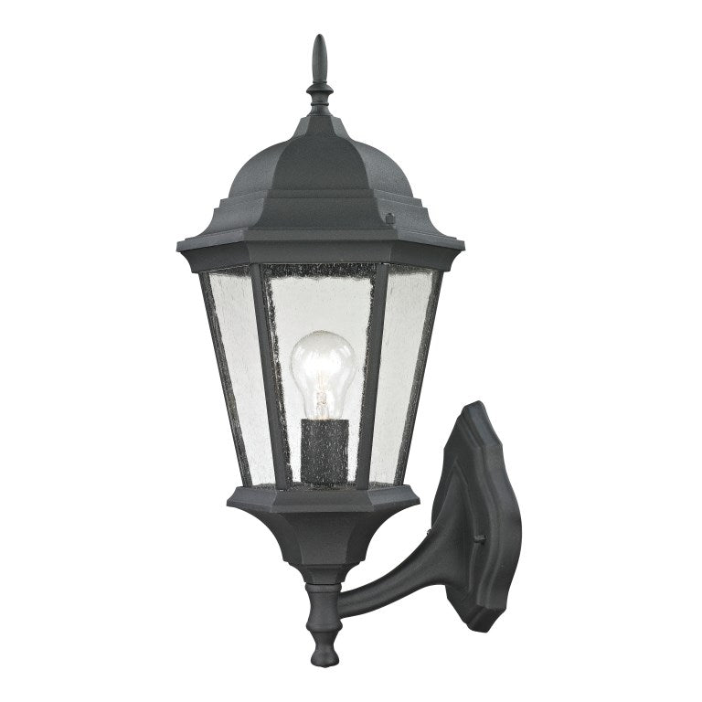 Temple Hill High 1- Light Outdoor Sconce-Elk Home-ELK-8111EW/65-Outdoor Wall Sconces21"-2-France and Son