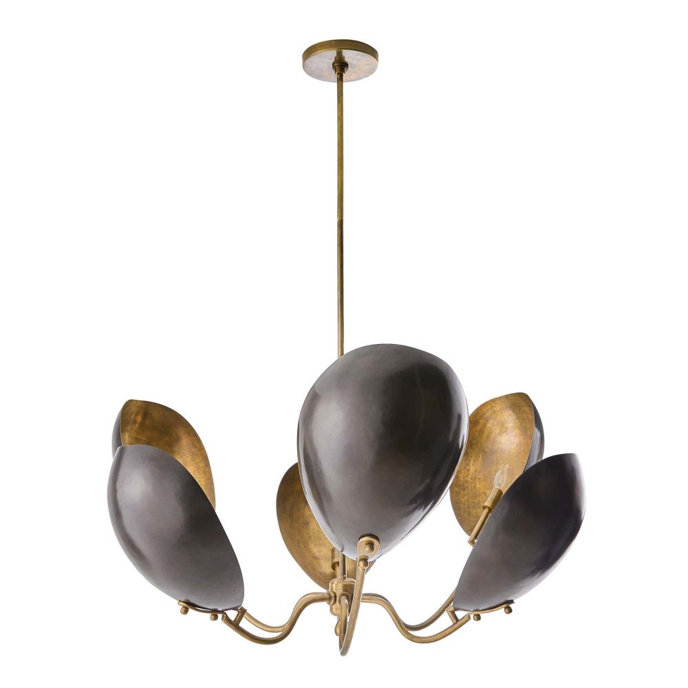 Chandeliers Coralia Chandelier - Black