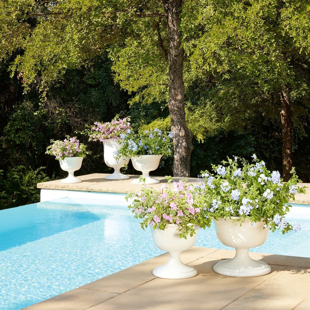 Villa Chalice Compote-Matte White-Lg