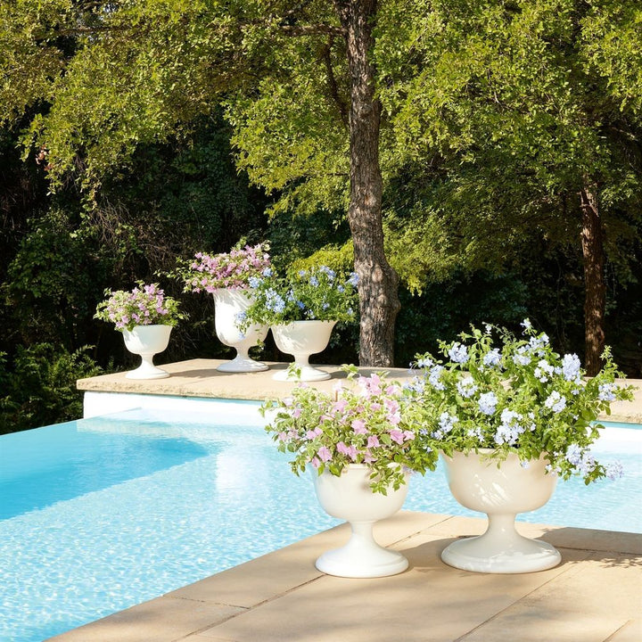 Villa Chalice Compote-Matte White-Lg