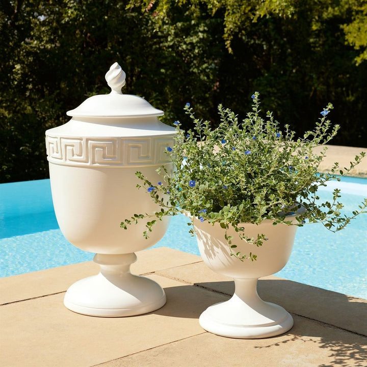 Villa Chalice Compote-Matte White-Lg