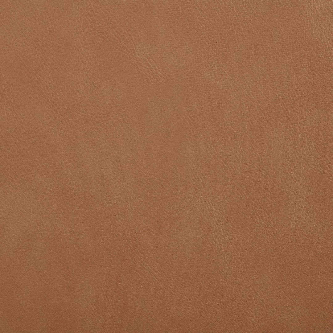 Ellis Cane And Vegan Leather Upholstered Dining Chair — Cognac / Natural