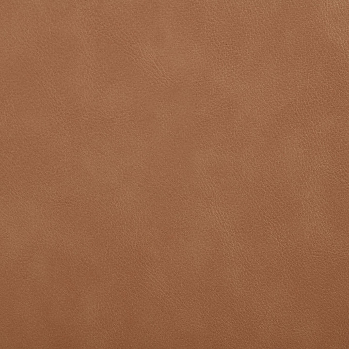 Ellis Cane And Vegan Leather Upholstered Dining Chair — Cognac / Natural