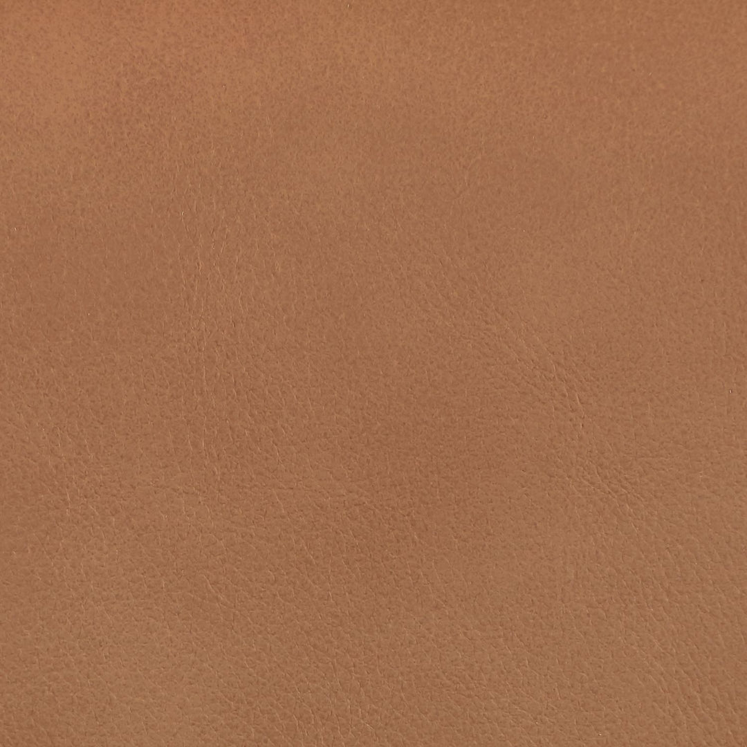 Ellis Cane And Vegan Leather Upholstered Dining Chair — Cognac / Brown