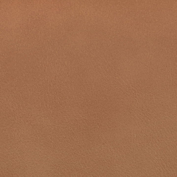 Ellis Cane And Vegan Leather Upholstered Dining Chair — Cognac / Brown