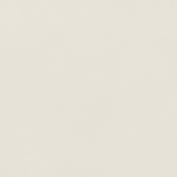 Ellis Cane And Vegan Leather Upholstered Counter Stool — Cream / Natural