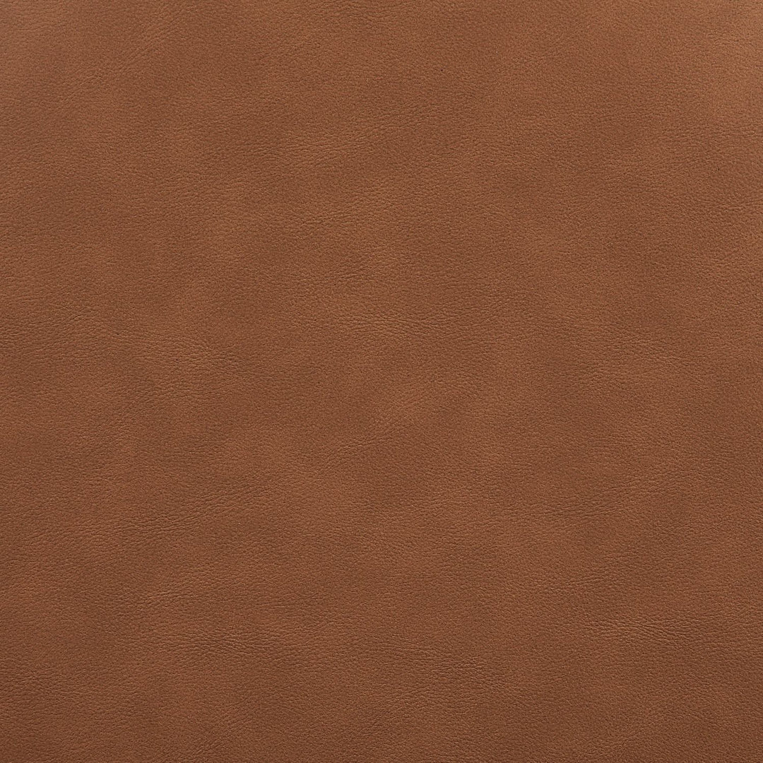 Atrium Cane Back And Vegan Leather Upholstered Seat Dining Chair — Cognac / Brushed Brown