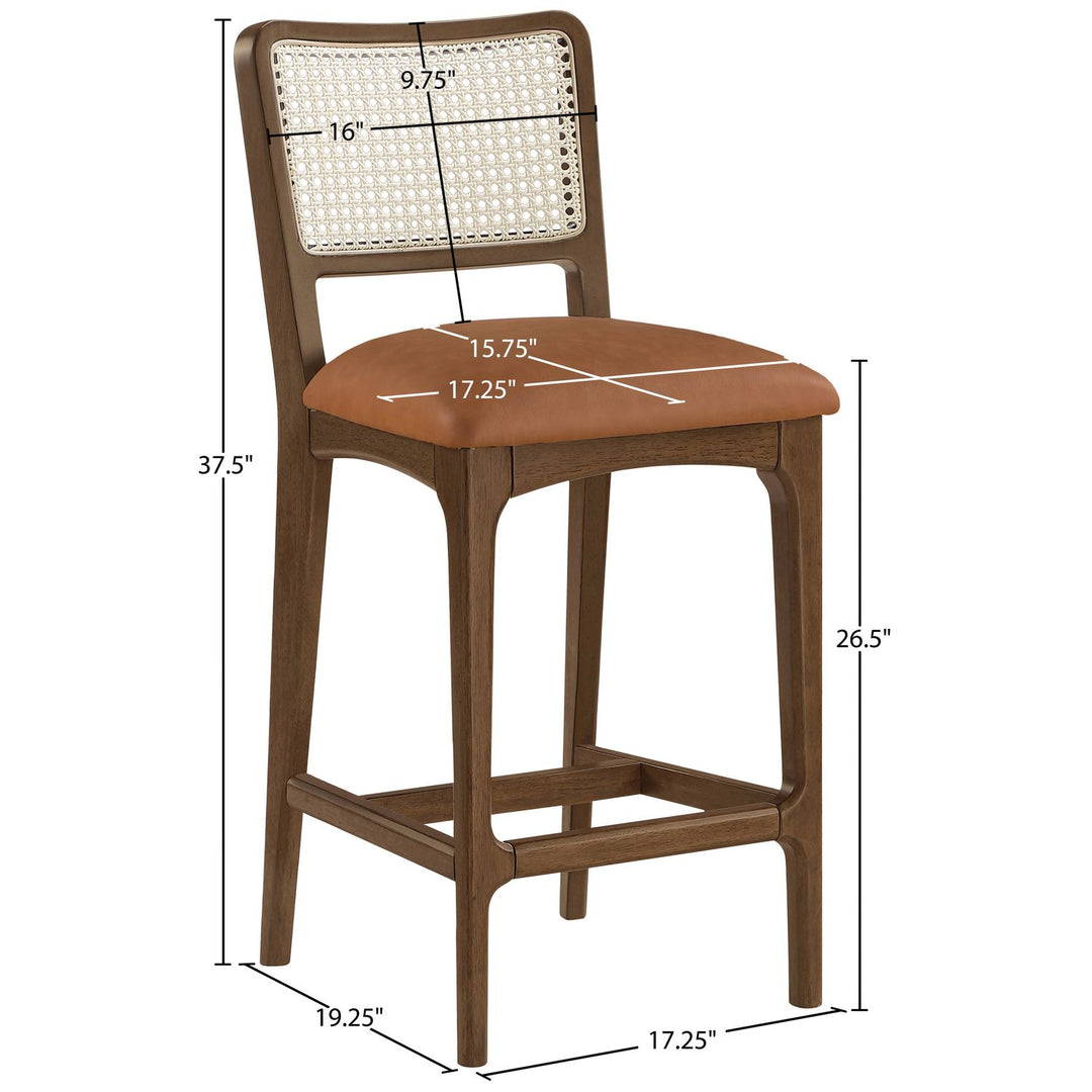 Atrium Cane Back And Vegan Leather Upholstered Seat Counter Stool — Cognac / Brushed Brown