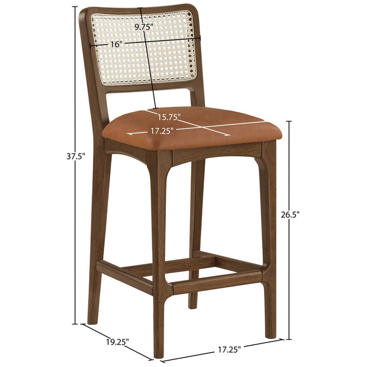 Atrium Cane Back And Vegan Leather Upholstered Seat Counter Stool — Cognac / Brushed Brown