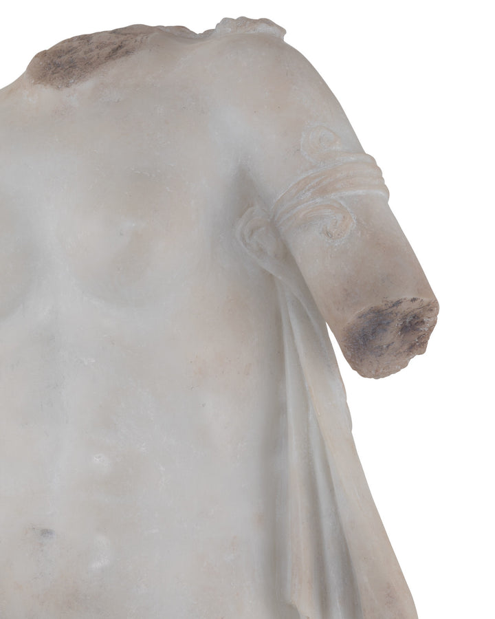 Cyprus Torso on Metal Stand