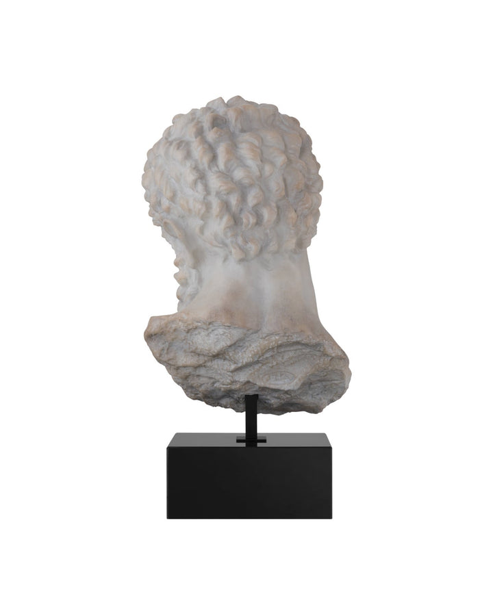 Decorative Objects Hercules Head on Metal Stand