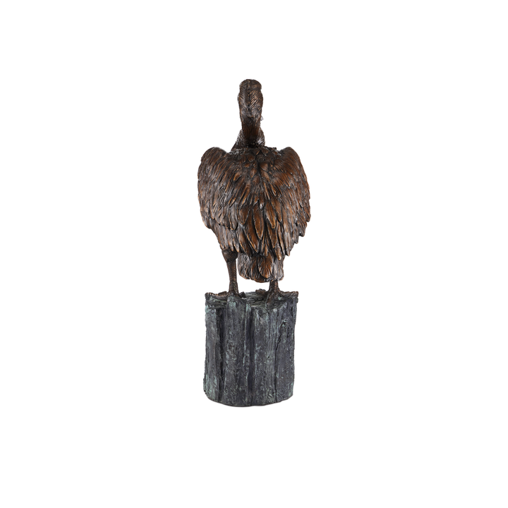Pelican Bronze