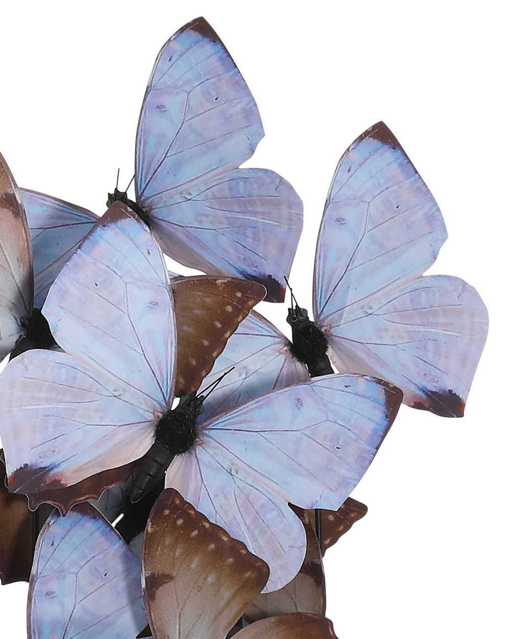 Decorative Objects Rue de Bac Lilac Medium Butterflies