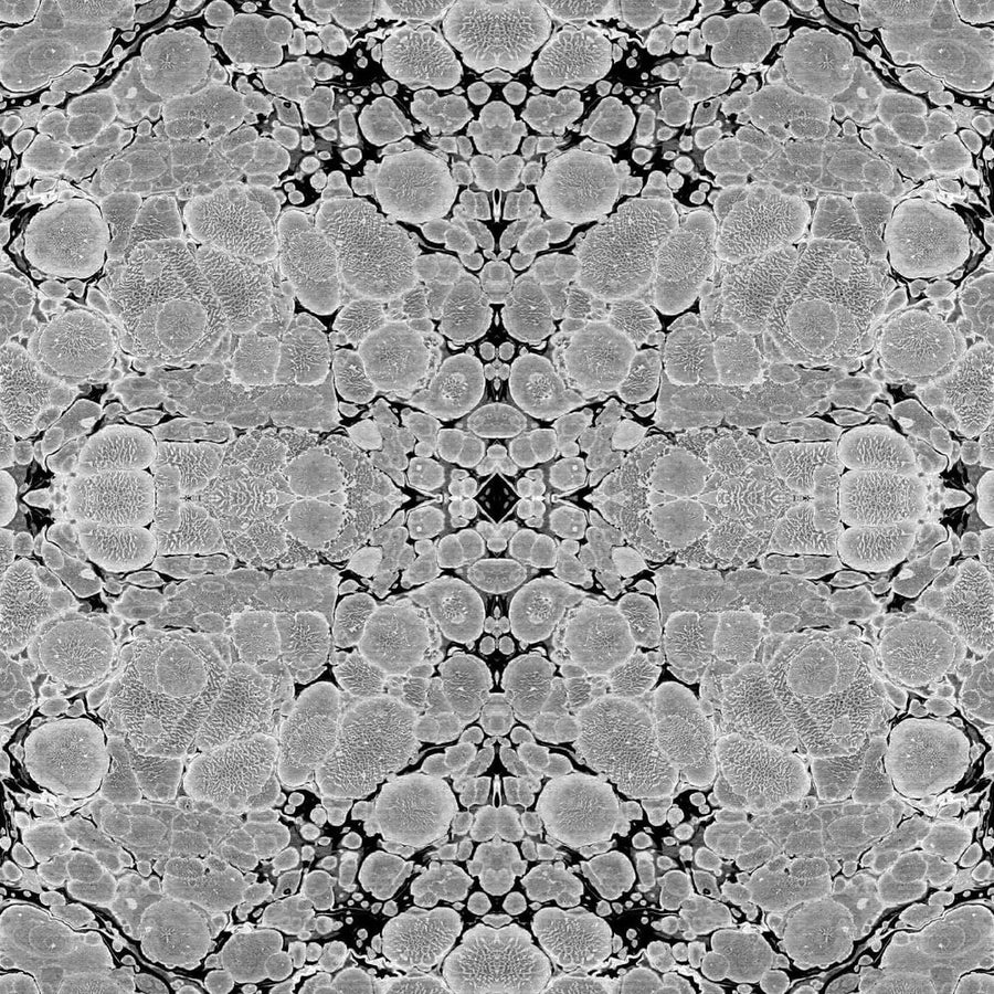Kaleidoscope Wallpaper-Mitchell Black-MITCHB-WCAB410-PM-10-Wall DecorPatterns Steel-Premium Matte Paper-1-France and Son